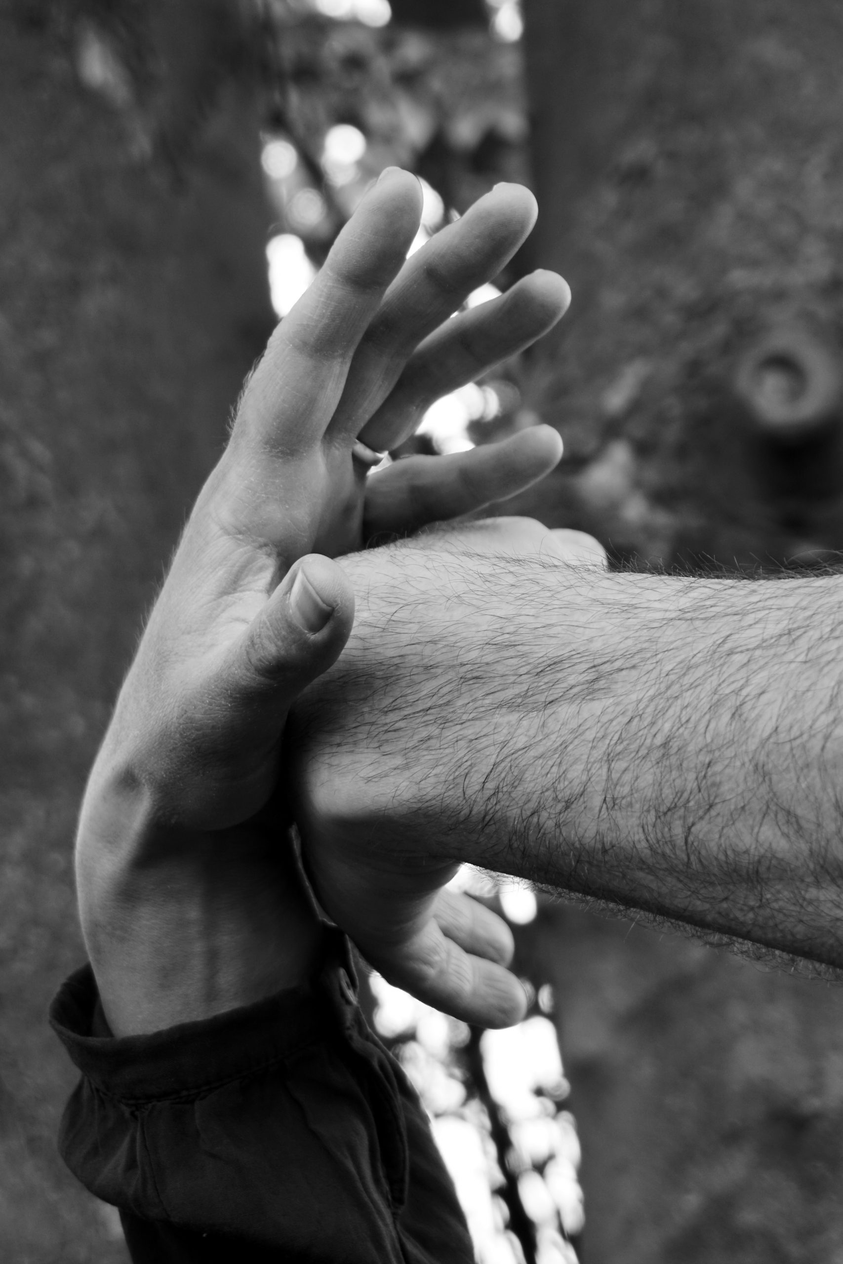 Pushing Hands – Studio Zin