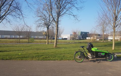 Alle trainingen Taiji & Qigong buiten in park Blokhoeve